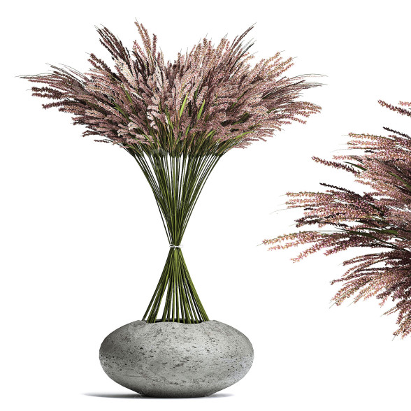 Bouquet Organic Miscanthus 3D model