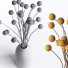 Bouquet Billy Button Balls - Abdulloh3D