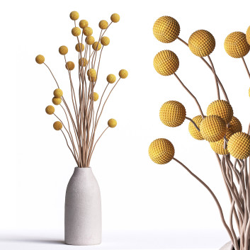 Bouquet  Billy Button Balls 3D model