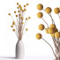 Bouquet Billy Button Balls - Abdulloh3D