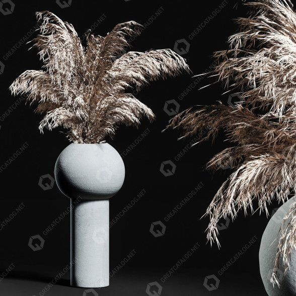 Bouquet Dry Flower 3D model