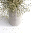Bouquet Flower - Abdulloh3D