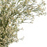 Bouquet Flower - Abdulloh3D