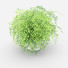 Blumentopf Adiantum - vizz.n3d