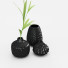 Vases and Plant Branch in Pitcher - vizz.n3d