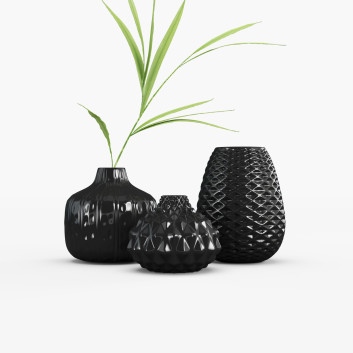 Vases et plantes Branch in Pitcher