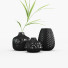 Vases and Plant Branch in Pitcher - vizz.n3d
