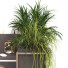 Arbeitsbereich und Blumentöpfe Home Office Work and Set 331 - unisjamavari