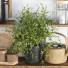Декор Kitchen Accessories 014 - moyarahmadi1