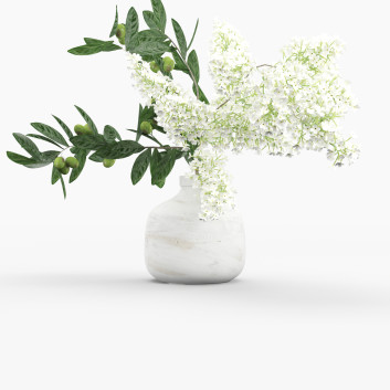 Bukiet Branch in Pot