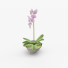 Doniczka Orchid and Leaves - vizz.n3d