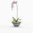 Doniczka Orchid and Leaves - vizz.n3d