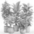 Macetas Conjunto de plantas de interior 12 - nr.asgari