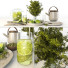 Served Table Set 01 - moyarahmadi1