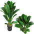 Pot de fleurs Plantes d'intérieur 01 - moyarahmadi1