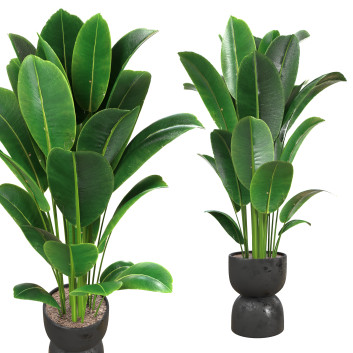 Doniczka Indoor Plant 01
