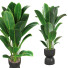 Pot de fleurs Plantes d'intérieur 01 - moyarahmadi1