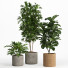 Doniczki Indoor Plant Set 014 - nr.asgari