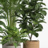 Doniczki Indoor Plant Set 014 - nr.asgari