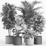 Doniczki Indoor Plant Set 014 - nr.asgari