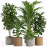 Doniczki Indoor Plant Set 014 - nr.asgari
