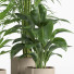 Flowerpots Indoor Plant Set 015 - nr.asgari