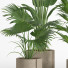 Flowerpots Indoor Plant Set 015 - nr.asgari
