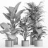 Flowerpots Indoor Plant Set 015 - nr.asgari