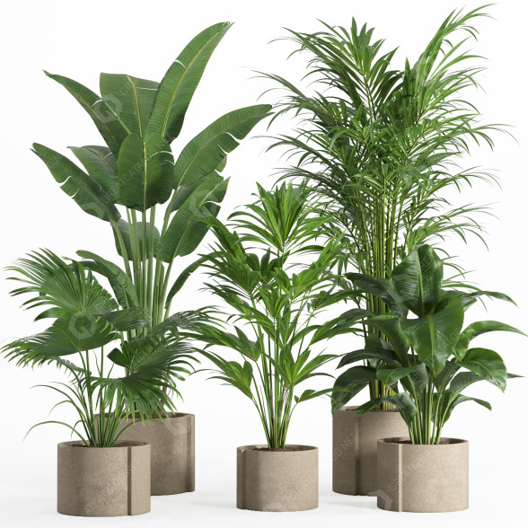 Flowerpots Indoor Plant Set 015 3D model