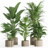 Flowerpots Indoor Plant Set 015 - nr.asgari
