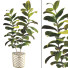 Blumentöpfe Ficus Elastica Baum Gummipflanze 02 - mio