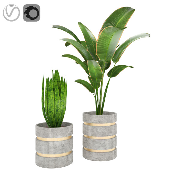 Doniczki Plants 01 model 3D