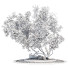 Baum Magie 01 - wagnervalentina670
