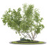 Baum Magie 01 - wagnervalentina670