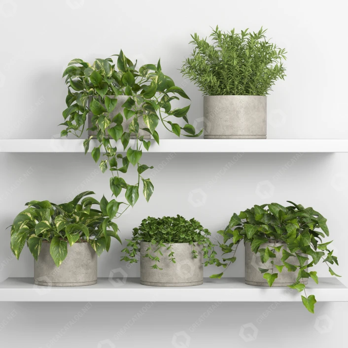 hausnummer mit blumenkasten Hausnummer