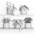 Flowerpots Plants 02 - nr.asgari