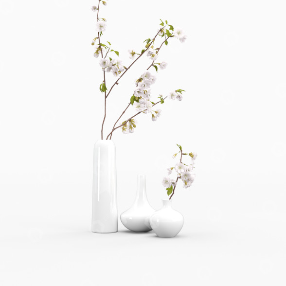 Вази, вишнева гілка Bouquet 3D модель