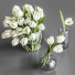 Vasen und Blumensträuße White Tulips - SAnn