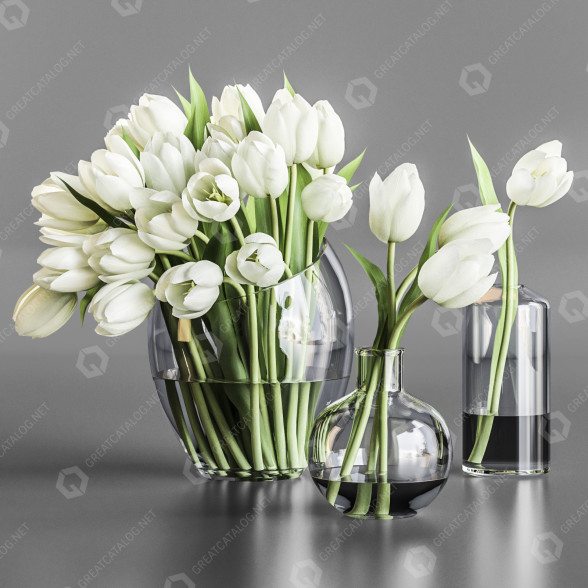 Vasen und Blumensträuße White Tulips 3D-Modell