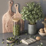 Декор Kitchen Accessories 017 - moyarahmadi1
