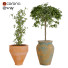 Macetas Colección de plantas 02 - arsehstudio