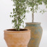 Macetas Colección de plantas 02 - arsehstudio