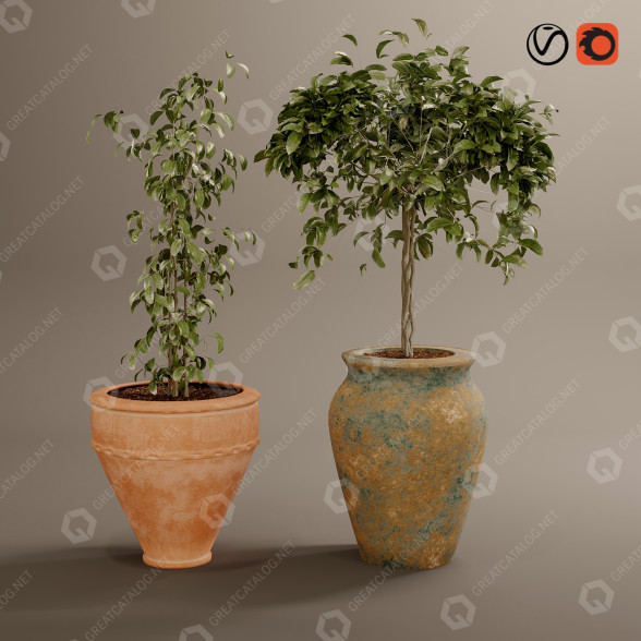 Macetas Colección de plantas 02 Modelo 3D