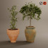 Macetas Colección de plantas 02 - arsehstudio