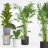 Doniczki Indoor Plant Set 001 - Mrym.3dmodel