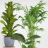Doniczki Indoor Plant Set 001 - Mrym.3dmodel