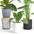 Doniczki Indoor Plant Set 001 - Mrym.3dmodel