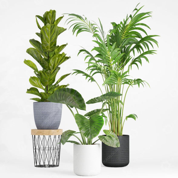 Doniczki Indoor Plant Set 001 model 3D