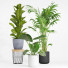 Doniczki Indoor Plant Set 001 - Mrym.3dmodel