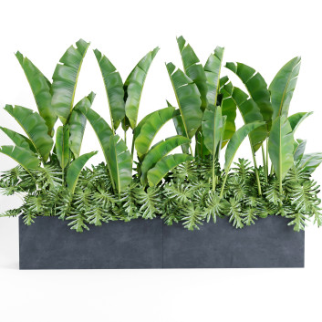 Pot de fleurs  Ensemble de plantes d'intérieur 003 Modèle 3D